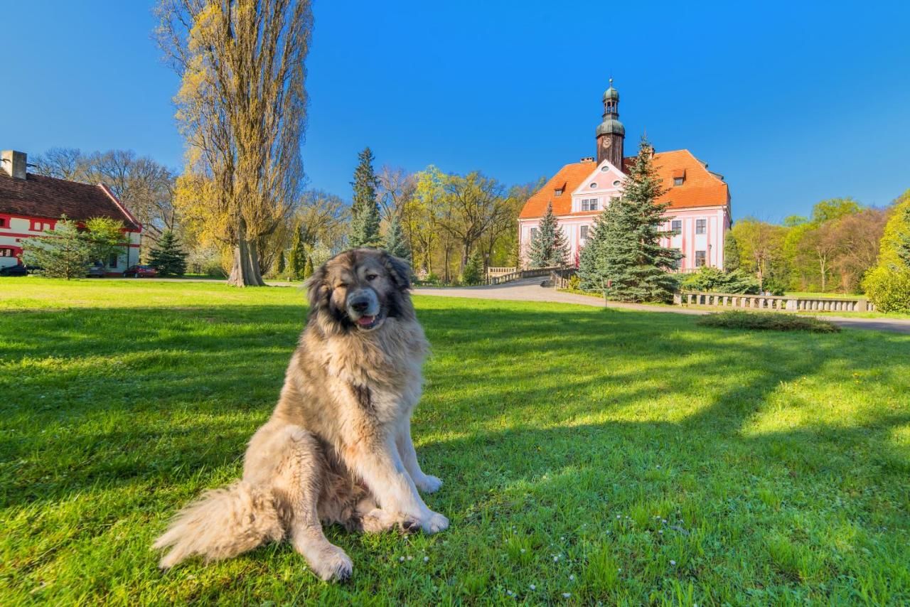 Отели типа «постель и завтрак» Pałac Warmątowice Sienkiewiczowskie Warmątowice Sienkiewiczowskie-32